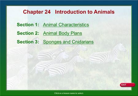 Chapter 24 Introduction to Animals