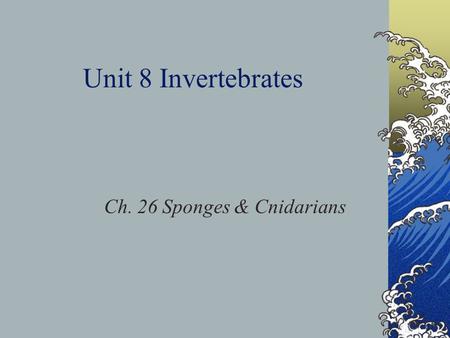 Unit 8 Invertebrates Ch. 26 Sponges & Cnidarians.