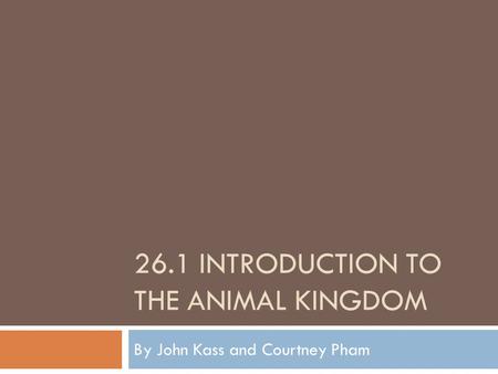 26.1 INTRODUCTION TO THE ANIMAL KINGDOM By John Kass and Courtney Pham.