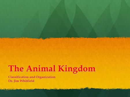 The Animal Kingdom Classification and Organization Dr. Jim Whitfield.