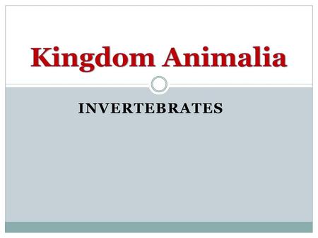 Kingdom Animalia Invertebrates.