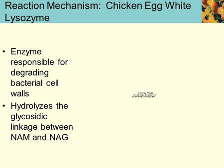 Reaction Mechanism: Chicken Egg White Lysozyme Enzyme responsible for degrading bacterial cell walls Hydrolyzes the glycosidic linkage between NAM and.