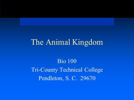 The Animal Kingdom Bio 100 Tri-County Technical College Pendleton, S. C. 29670.