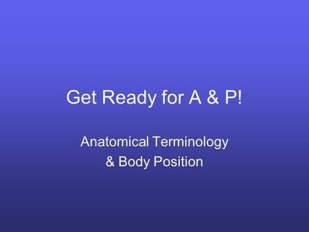 Anatomical Terminology & Body Position