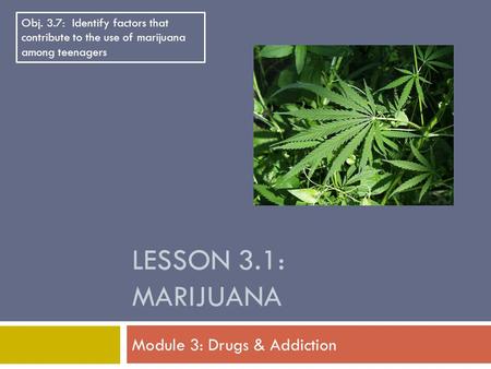 LESSON 3.1: MARIJUANA Module 3: Drugs & Addiction Obj. 3.7: Identify factors that contribute to the use of marijuana among teenagers.