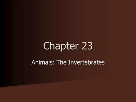 Chapter 23 Animals: The Invertebrates. Characteristics of Animals 1. Multicellular. Cells are usually arranged in organs or organ systems 2. Heterotrophs.