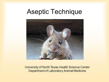 Aseptic Technique University of North Texas Health Science Center