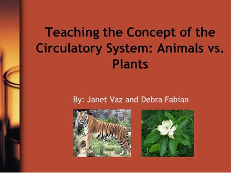 Teaching the Concept of the Circulatory System: Animals vs. Plants By: Janet Vaz and Debra Fabian.