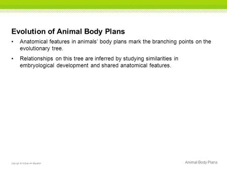 Evolution of Animal Body Plans