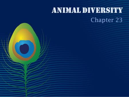 Animal Diversity Chapter 23.