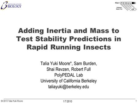SICB10 Talia Yuki Moore 1/7/2010 Adding Inertia and Mass to Test Stability Predictions in Rapid Running Insects Talia Yuki Moore*, Sam Burden, Shai Revzen,