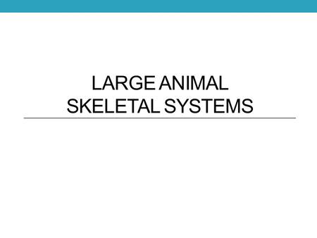 LARGE ANIMAL SKELETAL SYSTEMS. Functions of the Skeletal System Form Protection Support Strength.