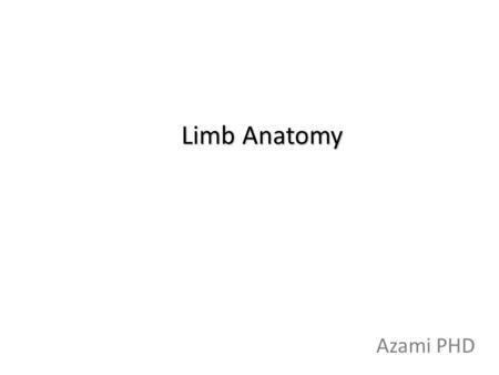 Limb Anatomy Azami PHD.
