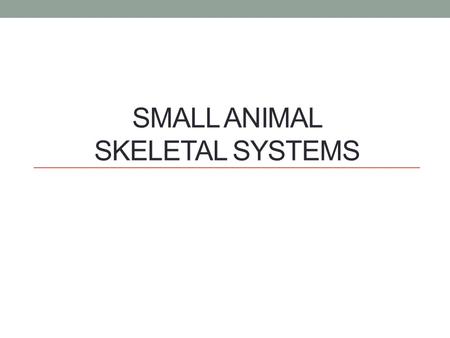 SMALL ANIMAL SKELETAL SYSTEMS. Functions of the Skeletal System Form Protection Support Strength.