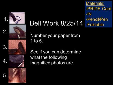 Bell Work 8/25/14 Number your paper from 1 to 5. See if you can determine what the following magnified photos are. 1. 2. 3. 4. 5. Materials: -PRIDE Card.