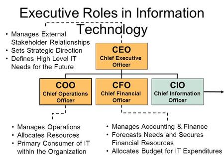 Executive Roles in Information Technology