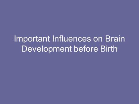 Important Influences on Brain Development before Birth