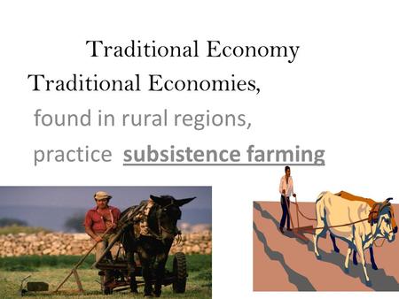 Traditional Economy Traditional Economies, found in rural regions, practice subsistence farming.