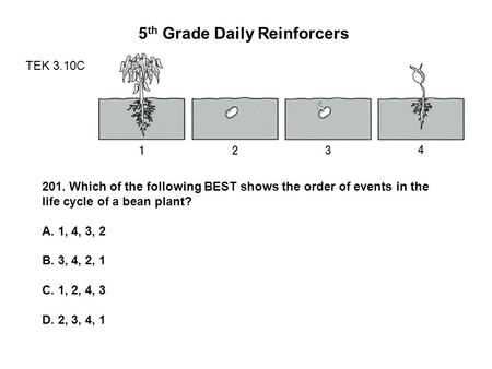 5 th Grade Daily Reinforcers TEK 3.10C 201. Which of the following BEST shows the order of events in the life cycle of a bean plant? A. 1, 4, 3, 2 B. 3,