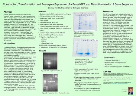 Construction, Transformation, and Prokaryote Expression of a Fused GFP and Mutant Human IL-13 Gene Sequence Lindsay Venditti, Department of Biological.