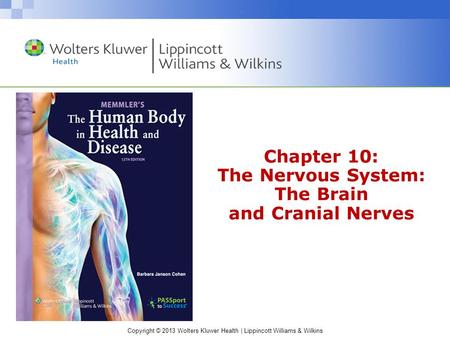 Chapter 10: The Nervous System: The Brain and Cranial Nerves
