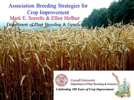Mark E. Sorrells & Elliot Heffner Department of Plant Breeding & Genetics Association Breeding Strategies for Crop Improvement.