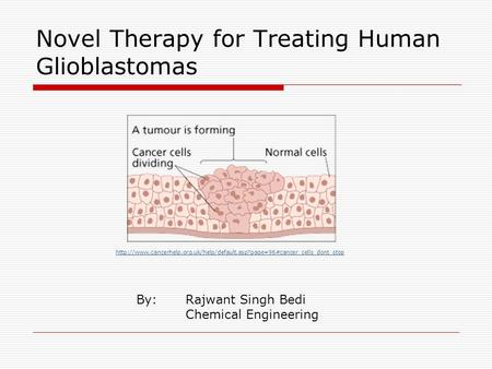 Novel Therapy for Treating Human Glioblastomas By: Rajwant Singh Bedi Chemical Engineering