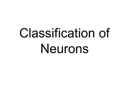Classification of Neurons. Nature of the Nervous System n Camillo Golgi n The Synctium l continuous network l no gaps ~