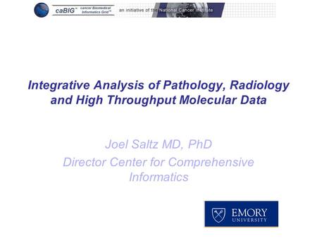 Integrative Analysis of Pathology, Radiology and High Throughput Molecular Data Joel Saltz MD, PhD Director Center for Comprehensive Informatics.