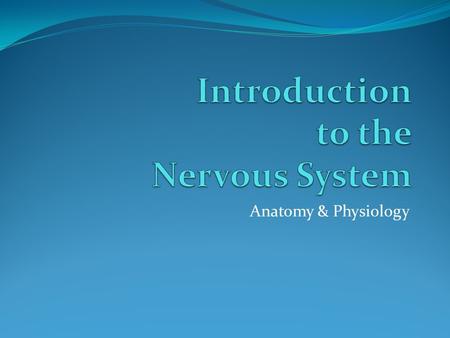 Anatomy & Physiology. Nervous Tissue & Homeostasis excitable characteristic of nervous tissue allows for generation of nerve impulses (action potentials)