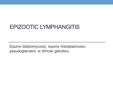 Epizootic lymphangitis