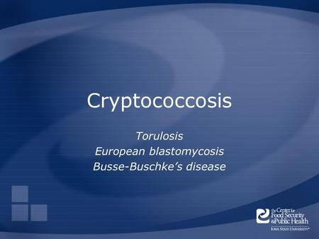 Cryptococcosis Torulosis European blastomycosis Busse-Buschke’s disease.