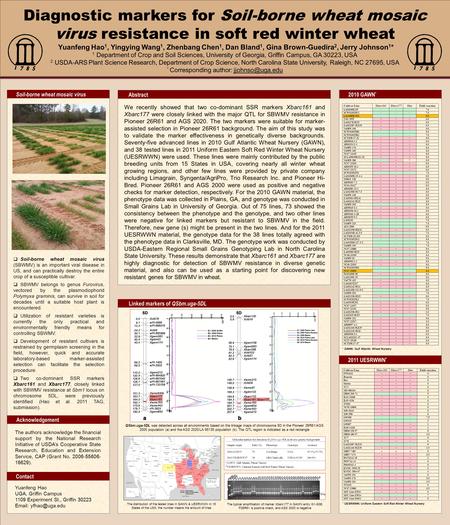 Template provided by: “posters4research.com” Diagnostic markers for Soil-borne wheat mosaic virus resistance in soft red winter wheat Yuanfeng Hao 1, Yingying.
