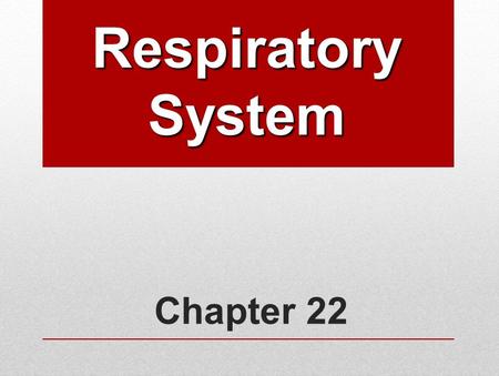 Chapter 22 Respiratory System. Human Respiratory System Functions: Works closely with circulatory system, exchanging gases between air and blood: Takes.