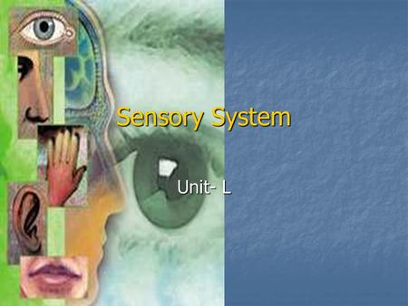 Sensory System Unit- L.