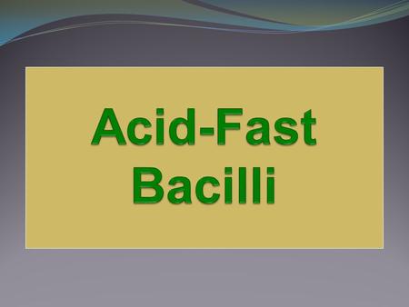 Acid-Fast Bacilli.