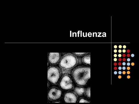 Influenza. The Blame Game The greatly feared pandemic flu virus has finally broken out. Millions are sick and thousands have already died. It is almost.