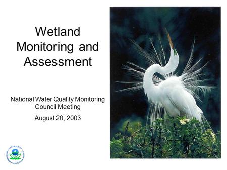 Wetland Monitoring and Assessment National Water Quality Monitoring Council Meeting August 20, 2003.
