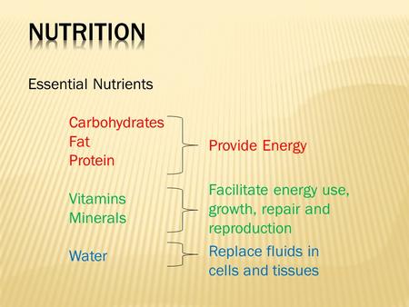 Essential Nutrients Carbohydrates Fat Protein Vitamins Minerals Water Provide Energy Facilitate energy use, growth, repair and reproduction Replace fluids.