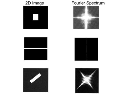 2D Image Fourier Spectrum.