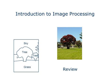 Introduction to Image Processing Grass Sky Tree ? ? Review.