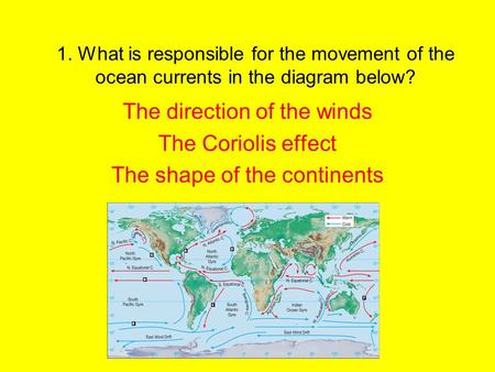 The direction of the winds The Coriolis effect