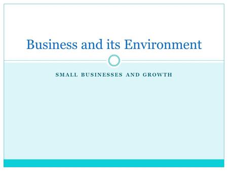 SMALL BUSINESSES AND GROWTH Business and its Environment.