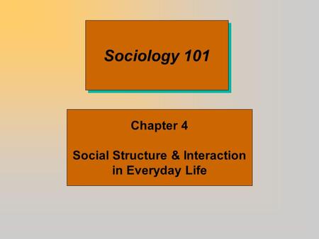 Social Structure & Interaction in Everyday Life
