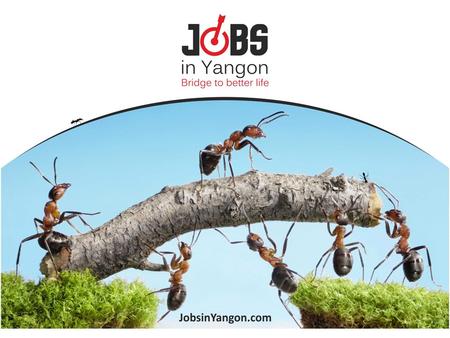 About us JobsinYangon.com (JIY) is an online mass