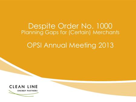 Despite Order No. 1000 Planning Gaps for (Certain) Merchants OPSI Annual Meeting 2013.