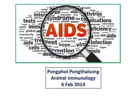 Pongphol Pongthaisong Animal Immunology 6 Feb 2014.