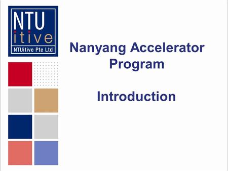 Nanyang Accelerator Program Introduction. The Agenda The mentoring team Programme objectives Mentoring team philosophy Our expectations of you.