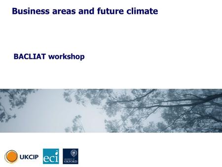 BACLIAT workshop Business areas and future climate.