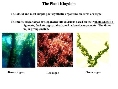 The Plant Kingdom The oldest and most simple photosynthetic organisms on earth are algae. The multicellular algae are separated into divisions based on.